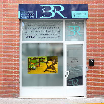 Fisioterapeuta Br1-Fisioterapia De Rendimiento Y Readaptación En Burgos