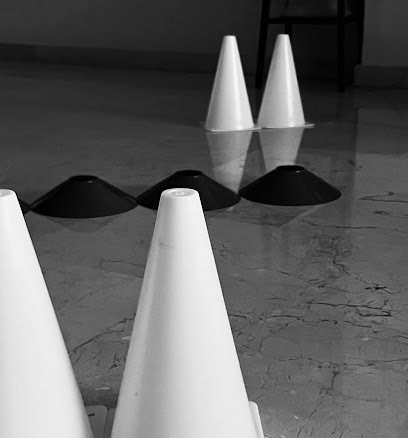 Fisioterapia A Domicilio En Granada – Santiago Cuevas