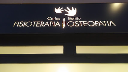 Fisioterapia Carlos Benito
