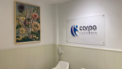 Fisioterapia Carpo