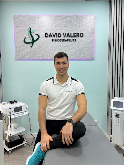 Fisioterapia David Valero