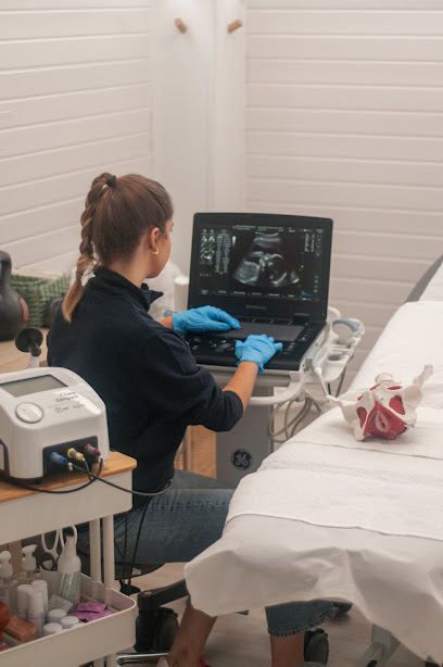 Fisioterapia De Suelo Pélvico · Paula Martínez Burgués