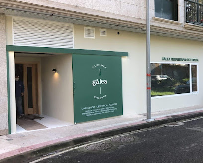 Fisioterapia Gálea