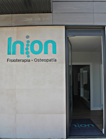 Fisioterapia Inion