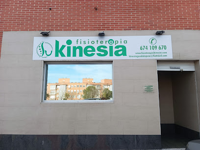 Fisioterapia Kinesia