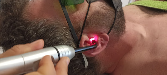 Fisioterapia Lizán
