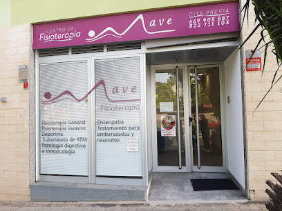 Fisioterapia Mave