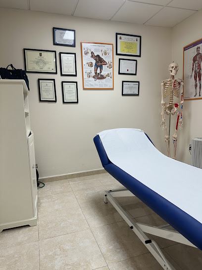 Fisioterapia Miguel Beato Araujo