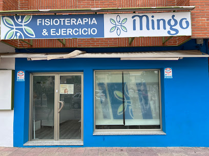Fisioterapia Mingo