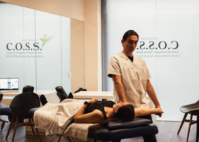 Fisioterapia Nicolas Verbal
