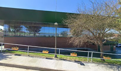 Fisioterapia Oscar Vila (Polideportivo Municipal De Polanco)