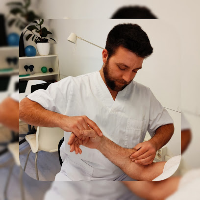Fisioterapia – Pau Barris
