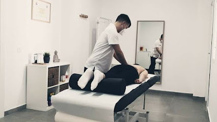 Fisioterapia Pedro Ortega