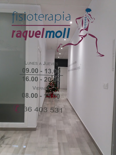 Fisioterapia Raquelmoll