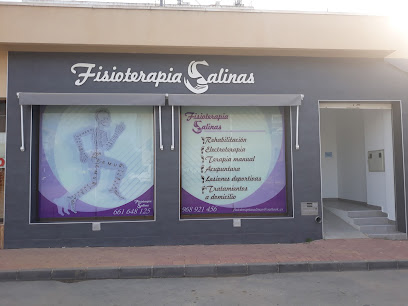 Fisioterapia Salinas
