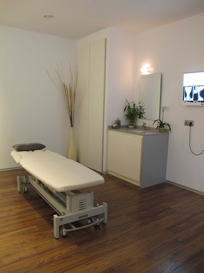 Fisioterapia Salut Global