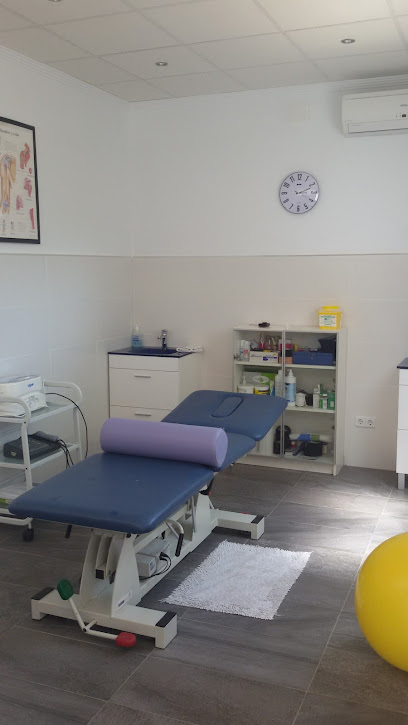 Fisioterapia Savia