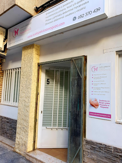 Fisioterapia Suelo Pélvico Zaragoza Virginia Hernando Abós