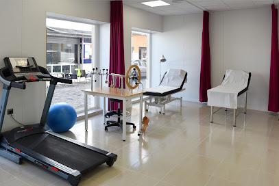 Fisioterapia – Urgencias San Roque Ayamonte