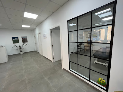 Fisioterapia Valencia Zaidía