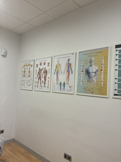 Fisioterapia Y Osteopatía Carol Ansó