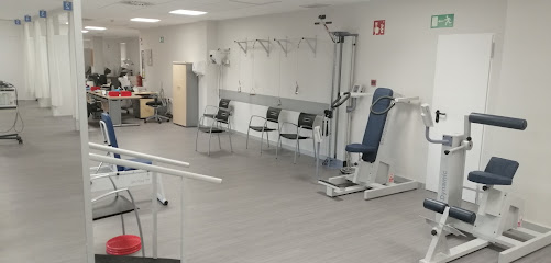Fisioterapia Y Rehabilitación