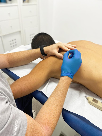 Fisiotraining