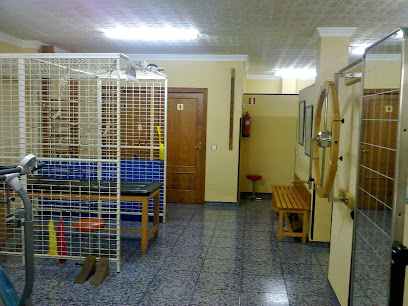 Fisiovera