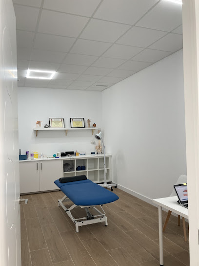 Foe Fisioterapia