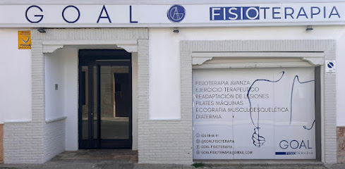 Goal Fisioterapia