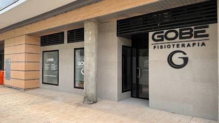 Gobe Fisioterapia