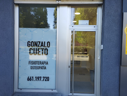 Gonzalo Cueto Fisioterapia Osteopatía C-36-003445