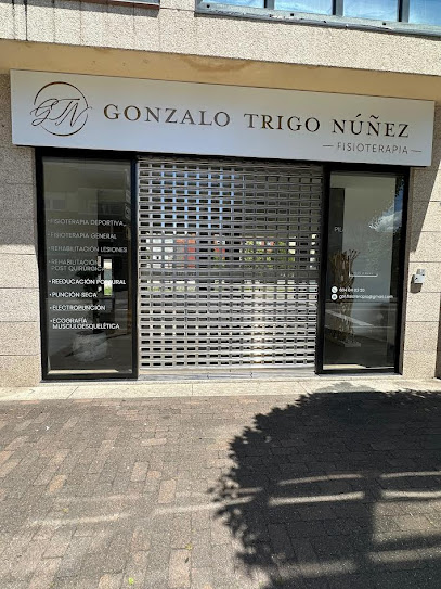 Gonzalo Trigo Núñez Fisioterapia