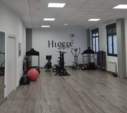 Higea Fisioterapia Osteopatía Y Pilates