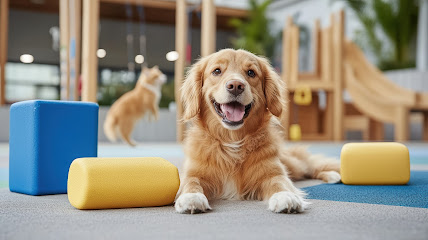 Huf & Pfote Tierphysiotherapie