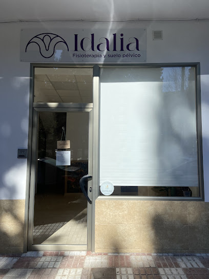 Idalia Fisioterapia Y Suelo Pélvico