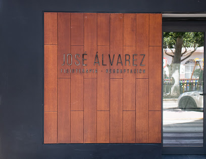 José Álvarez Fisioterapia Y Readaptación