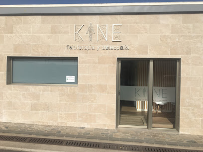 Kine Fisioterapia Y Osteopatia
