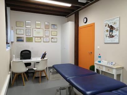 Kinepro Fisioterapia Avanzada
