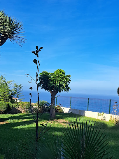 La Palmita