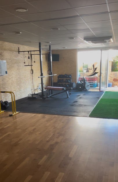 Limberfit – FisioteràPia I Salut