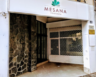 Mesana Fisioterapia