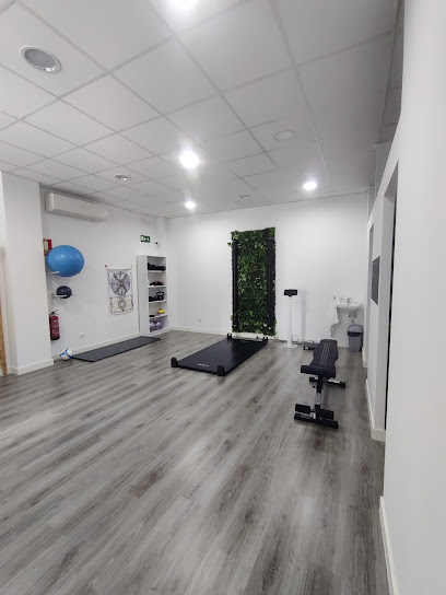 Multífido Fisioterapia Y Readaptación