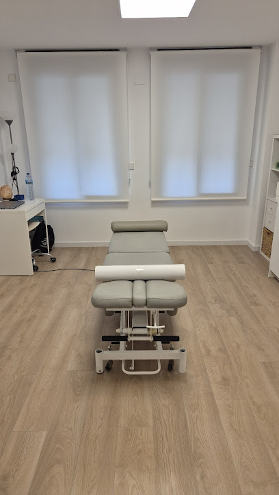 Osteopatía Y Fisioterapia En Valencia- Fisiosolución.