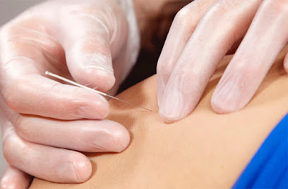 Palestra Fisioterapia | César Santos