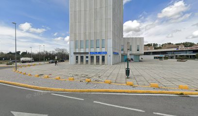 Paula Salinas | Fisioterapia Orofacial Y Atm