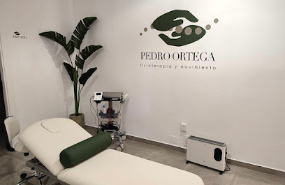 Pedro Ortega Fisioterapia Y Movimiento