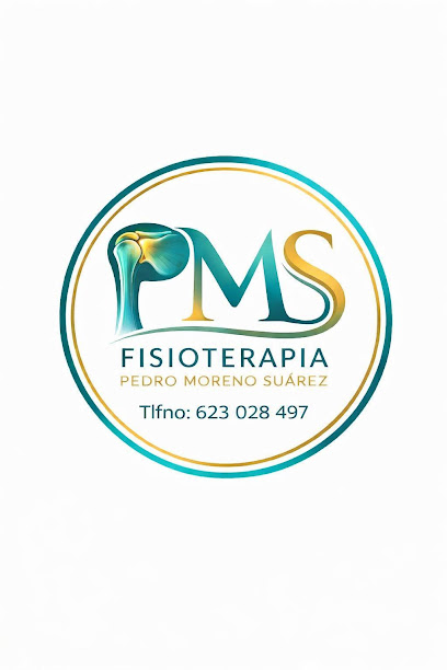 Pms Fisioterapia