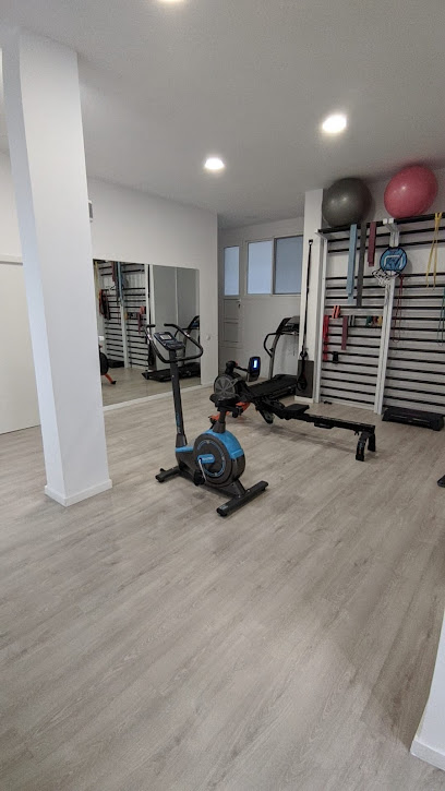 Proactivephysio Fisioterapia Y Neuro-Rehabilitación