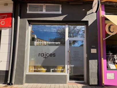 Raíces Fisioterapia